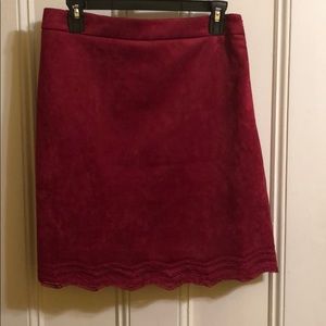 Skies Are Blue Trim Faux Suede Skirt